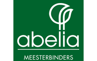 Abelia Meesterbinders