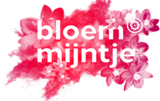 bloemmijntje